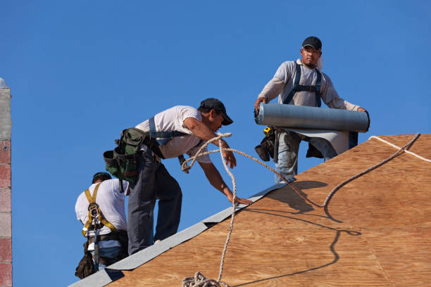 Best Storm Damage Roof Repair  in South Elgin, IL